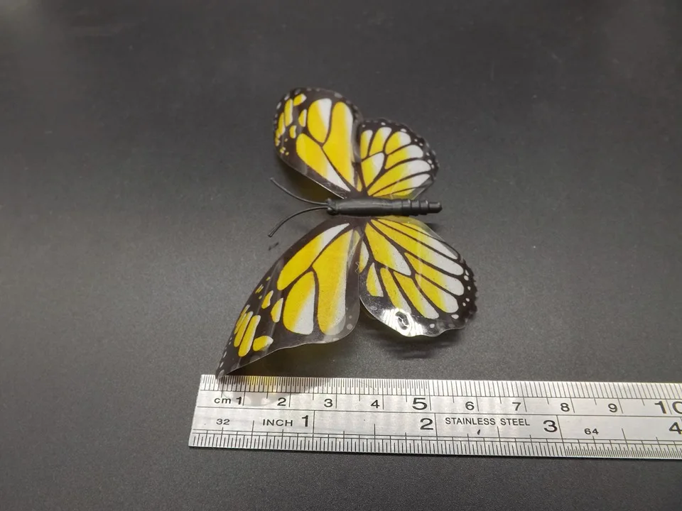 I271-Butterfly (10)