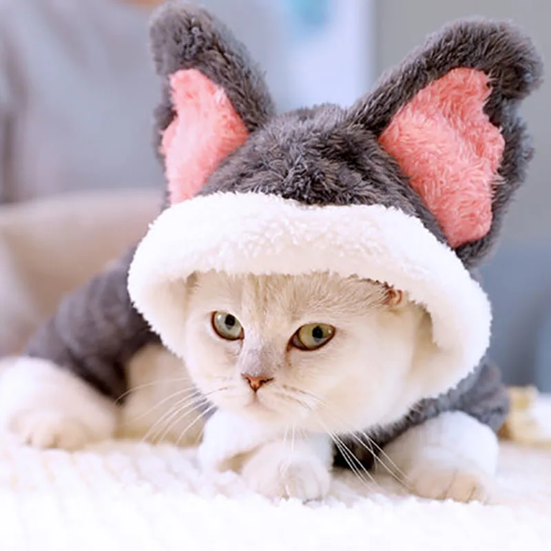 Goede Huisdier Kat Kleding Winter Pak Warme Zachte Jas Outdoor Jas Hoodie Kleding Voor Katten Leuke Koala Outfits Producten Voor Kat
