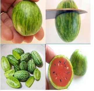 star fruit taste is cucumber a fruit star fruit taste is cucumber a fruit