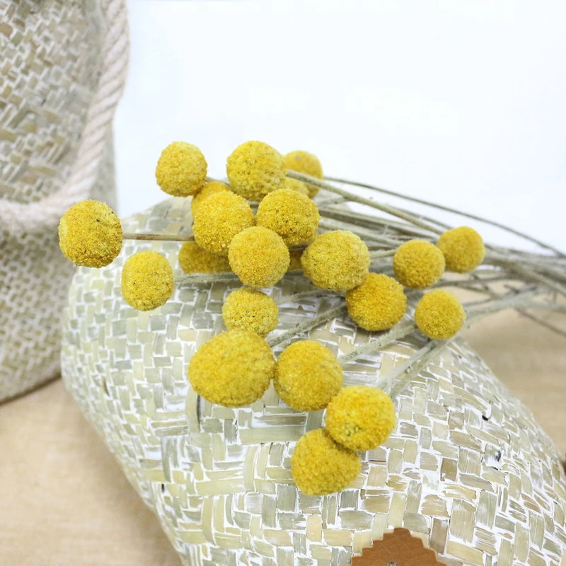 JAROWN Natural Dried Flowers Gold Ball Eternal Flores For Wedding DIY Bouquet Decorations Home Flower Arrangement Art (4)