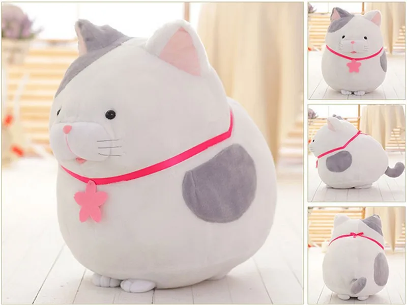 cat9