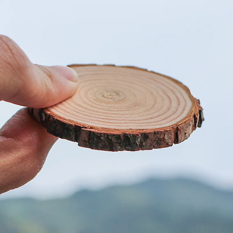 

10pcs Unfinished Natural Round Wood Slices Circles With Tree Bark Log Discs For DIY Crafts Wedding Party Painting Decoration