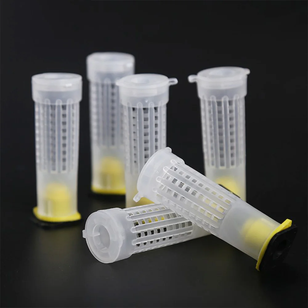 Beekeeping Tools Equipment Set Queen Rearing System Cultivating Box Plastic Bee Cell Cups Cup kit Queen Cage Feeding Tools