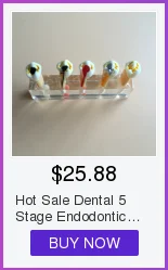 Modelo de Gesso Molde de Base de Silício Dental Bloco Completo-roxo Suprimentos Edentulous Jaw 2 Pçs - Set 29 Modelo de Ensino Dental