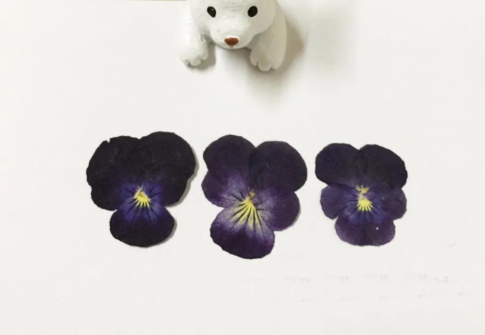 -dark purple