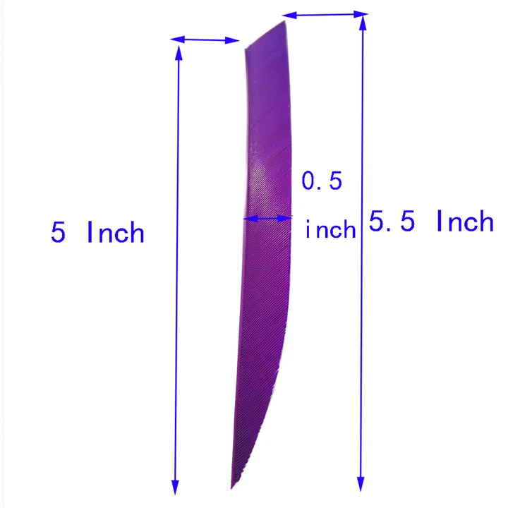 purple size