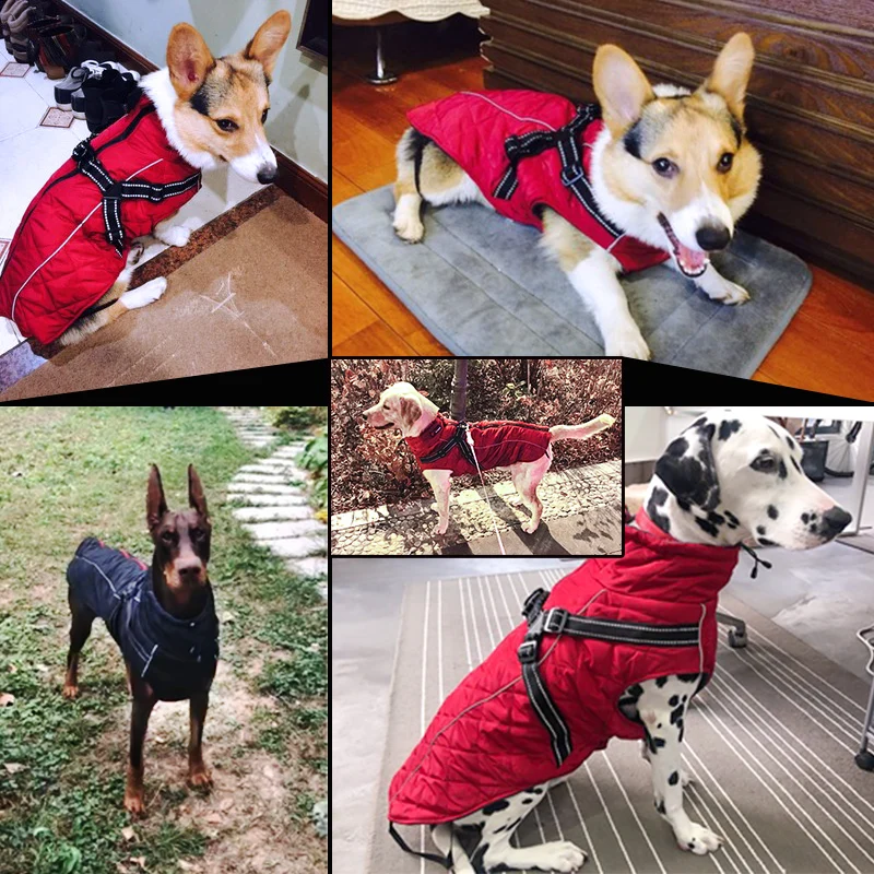 Жилетка с привязью для домашних собак Одежда ветрозащитная осень-зима ретривер Одежда для собак теплая куртка с золотистой подкладкой для больших собак костюм для животных