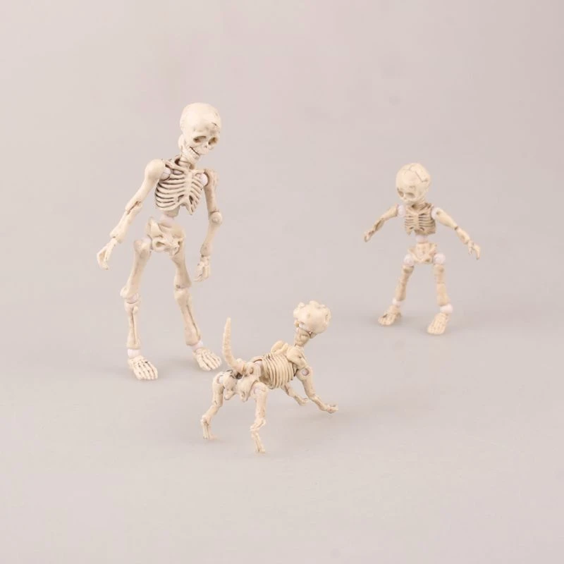 skeleton toys for sale