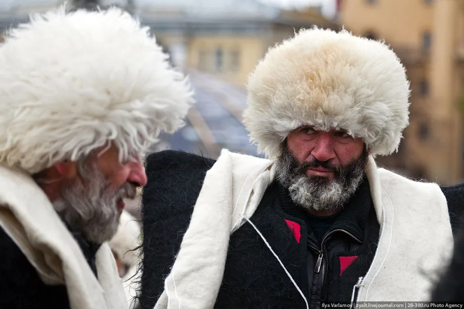 Caucasian papakha Clearance