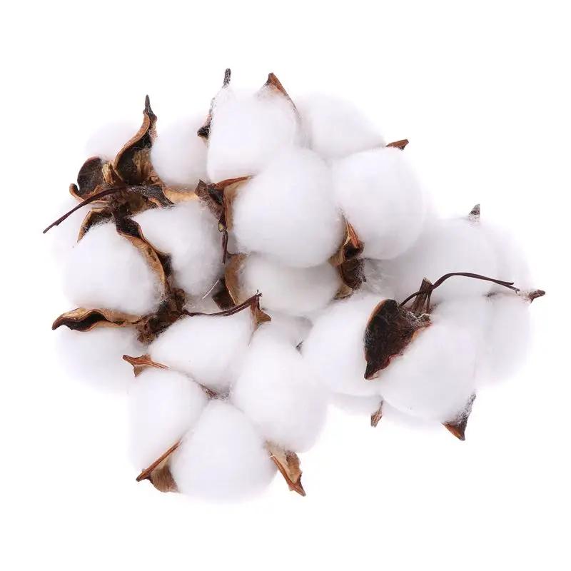 

10pcs Artificial Natural Dried Cotton Flower Heads Home Christmas Supplies Decor DIY Garland Wreath Wall Material