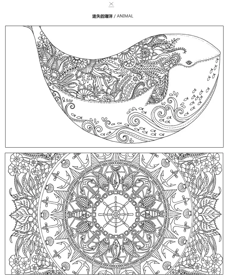 Adult Coloring Books - Oceans, 24 Pages