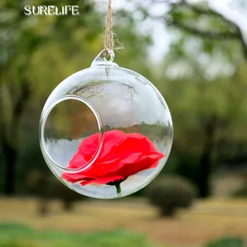 

12pcs 6/8cm Clear Glass Round Terrarium Flower Plant Stand Hanging Vase Hydroponic Home Office Wedding Garden Decor