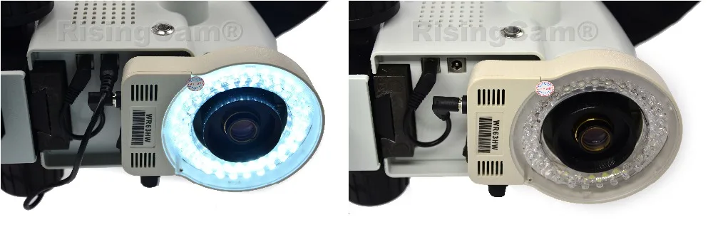 LED