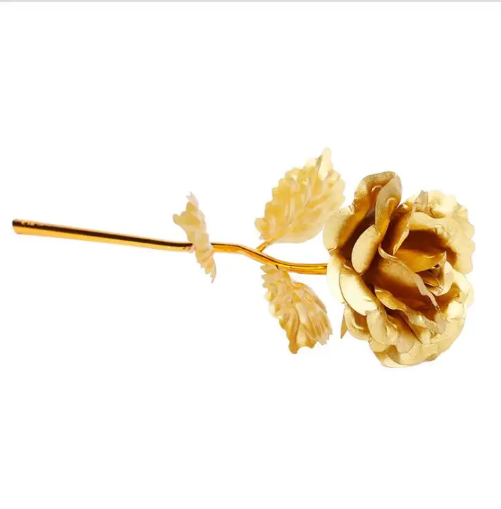 Сушеные цветы, 24K Золотая фольга, роза, цветной обнаженный цветок, подарок на день Святого Валентина, Глянцевая Золотая Роза, креативная Золотая Роза - Цвет: 5