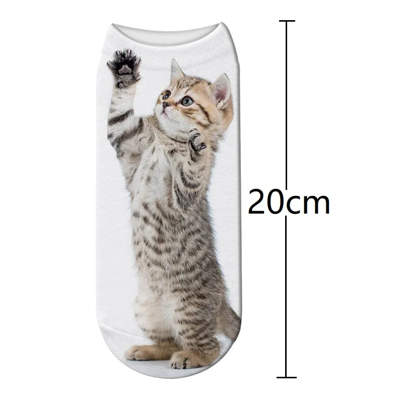 3 - 