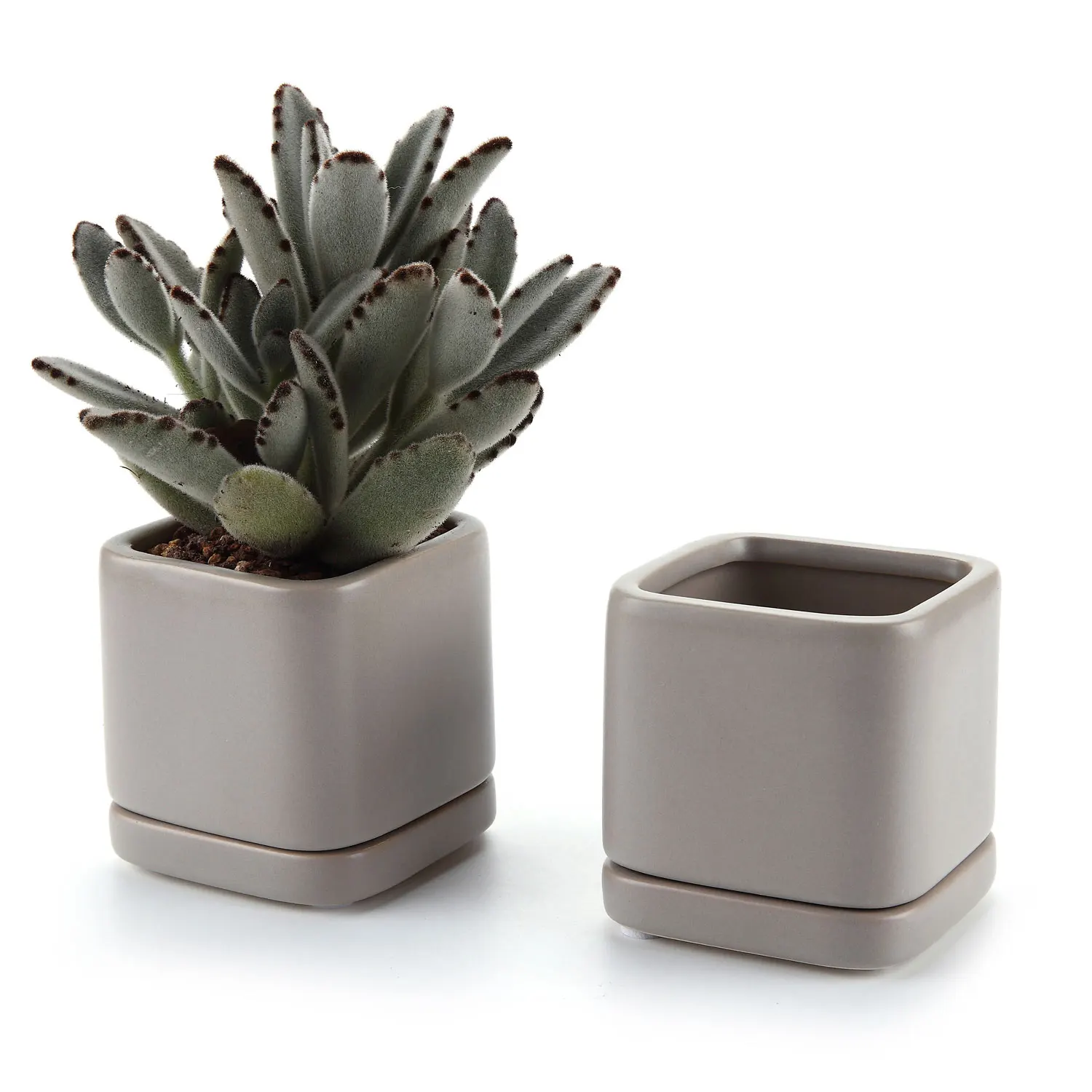 

T4U 3 Inch Ceramic Square Cameo Brown Serial Set succulent Cactus Plant Pot With Saucer Grey Package 1 Pack of 2