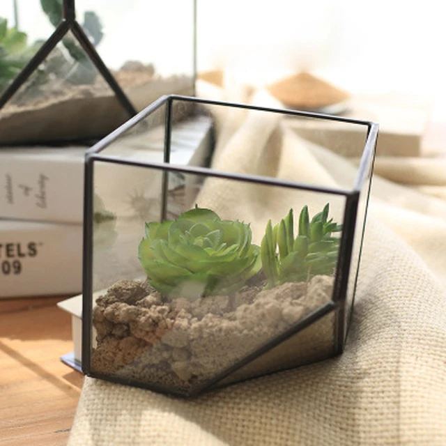 Aliexpress.com : Buy Plant Glass Terrarium Cube Fairy Garden House Plant Glass Terrarium Cube Fairy Garden House Greenhouse Terrarium Container for Gift DIY Home Wedding Decoration - Aliexpress.com : Buy Plant Glass Terrarium Cube Fairy Garden House