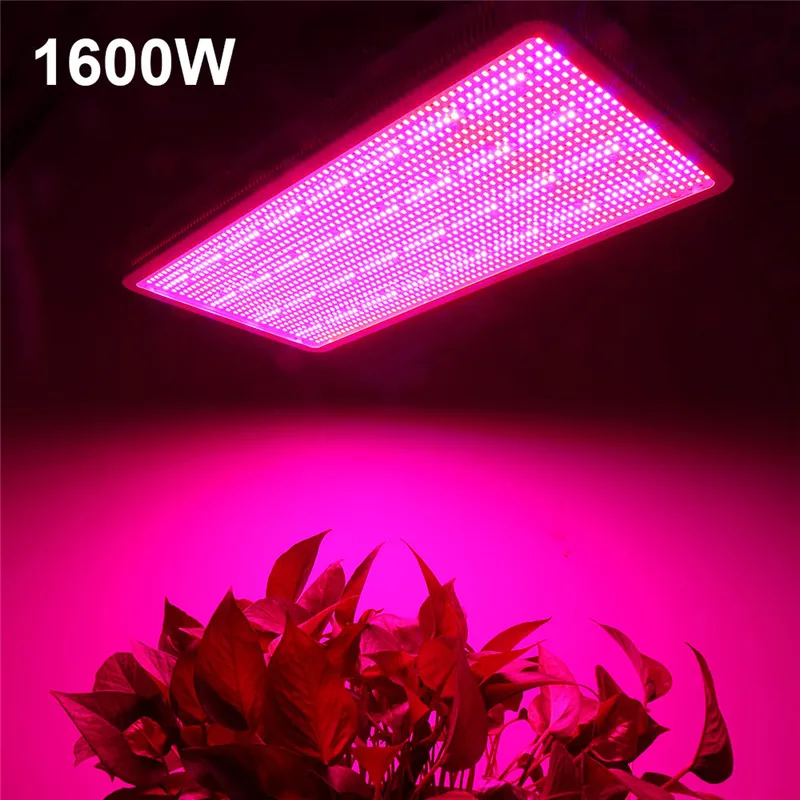 Comprar 300 W 600 W 800 W 1200 W 1600 W lleno espectro LED planta crecer luz lámparas para planta de flor verduras sistema hidropónico Grow Bloom tienda