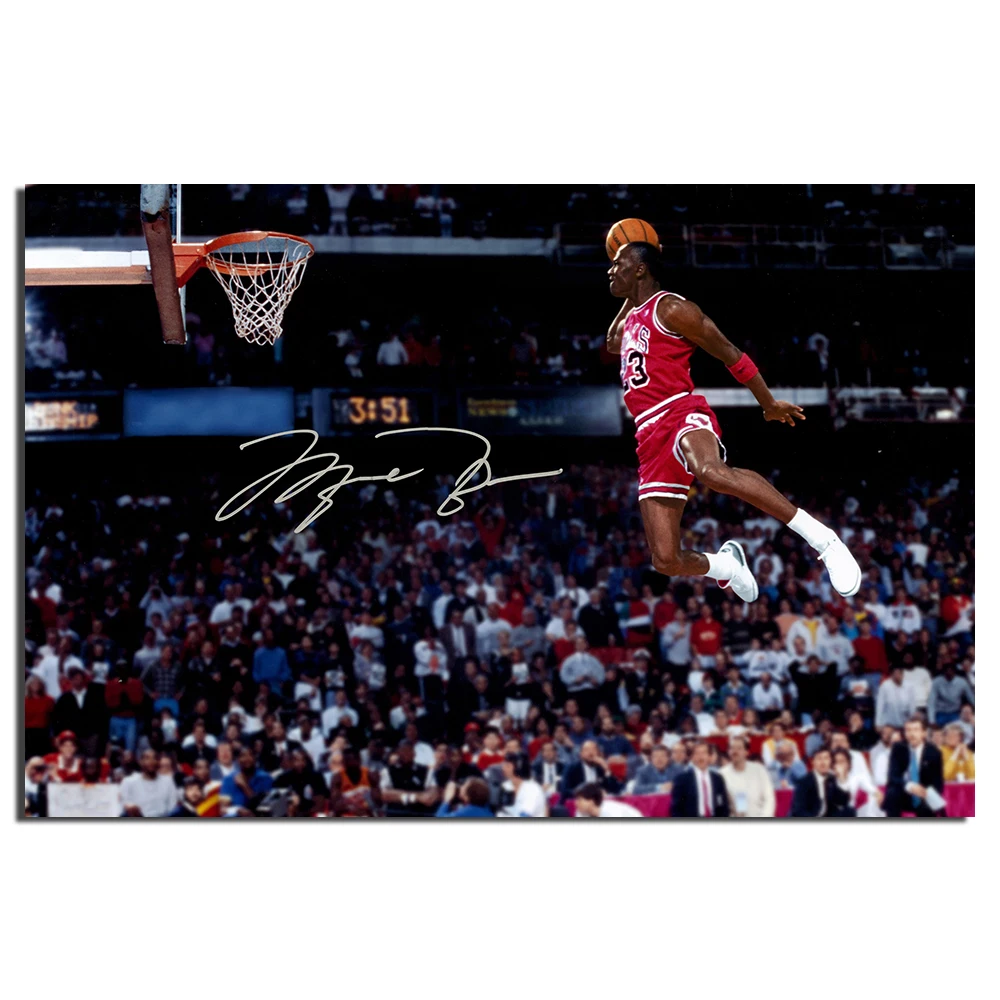 michael jordan fly