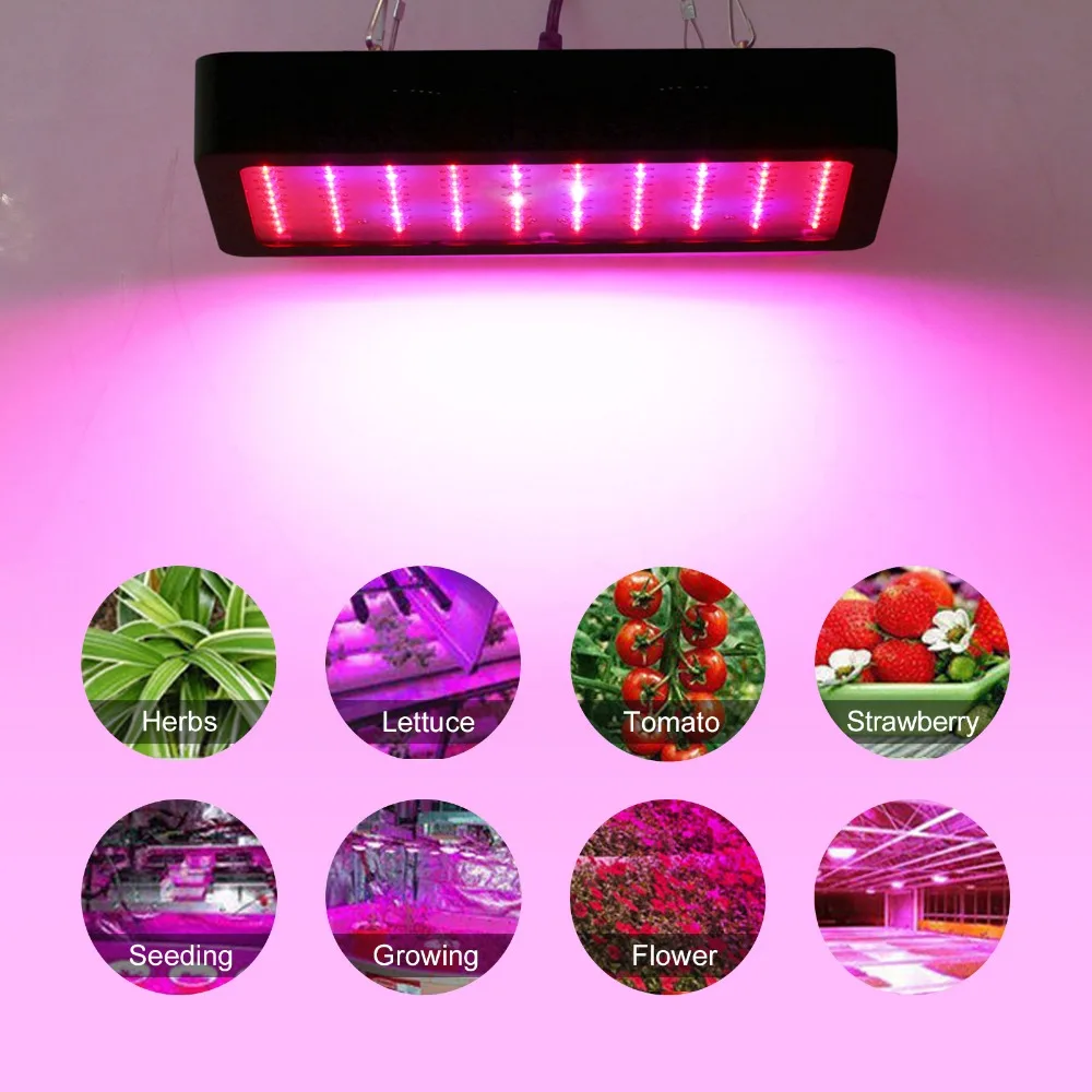 LED Grow Light 300W Grow Lighting Full Spectrum for Greenhouse