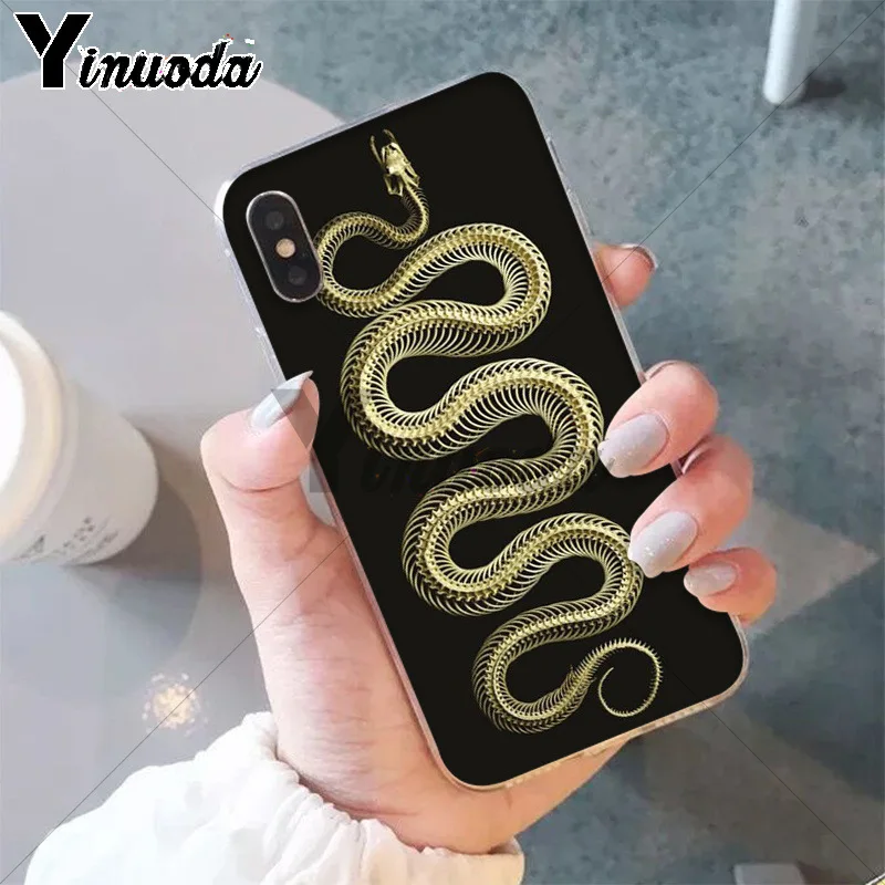 Animal The Snake and Fern
