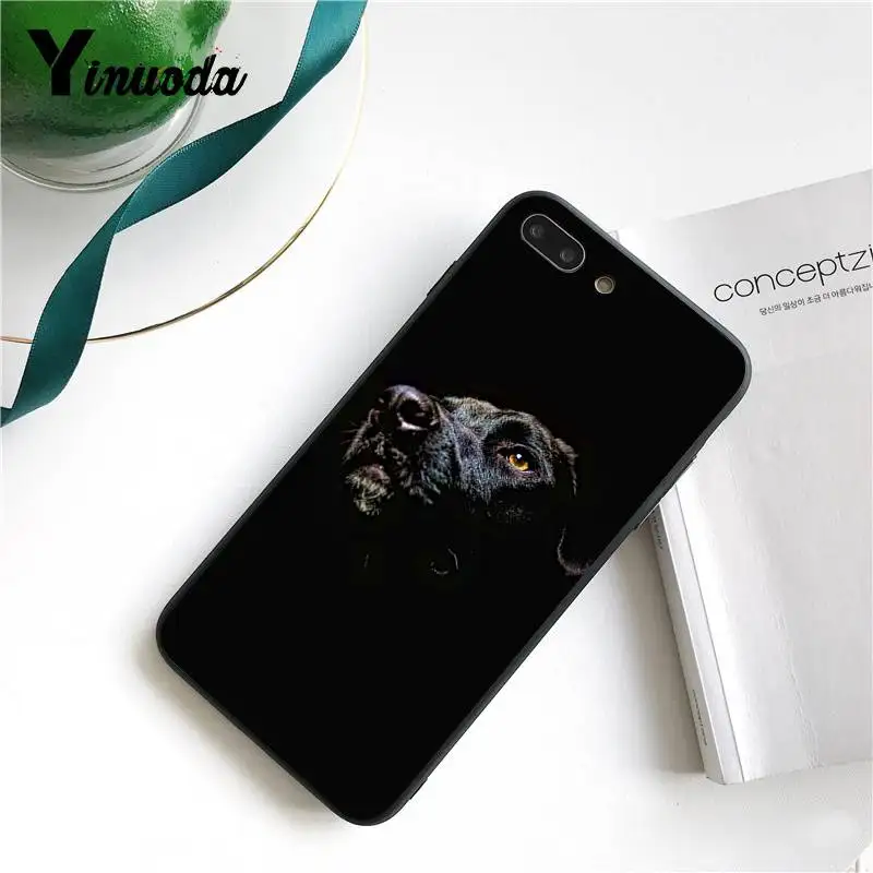 Yinuoda для iPhone 7 чехол черная такса собака добермана лицо Замечательный чехол для телефона для iPhone X 8 7 6 6S Plus X 5S SE XR XS XSMAX - Цвет: 8