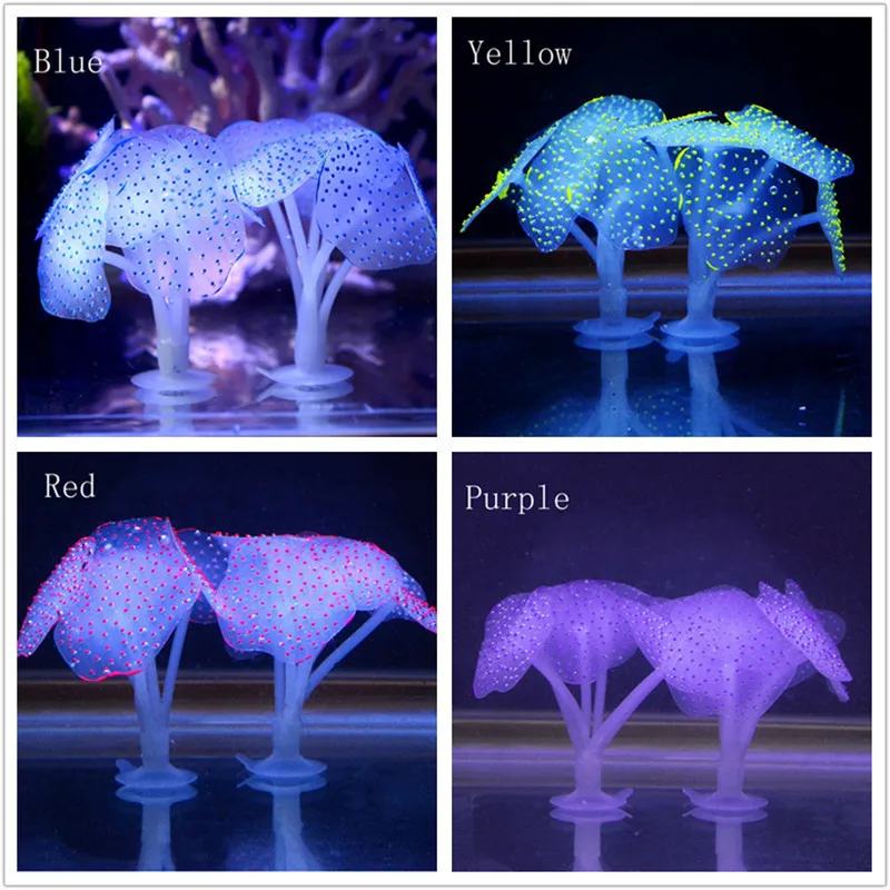 GZJ70724202_20170815015613289