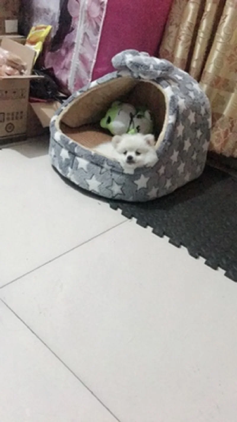 TB2PoI1qIyYBuNkSnfoXXcWgVXa_!!0-rate.jpg_400x400