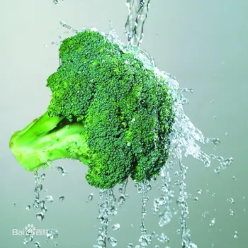 

50g-1000g 100% pure Broccoli extract powder,xi lan hua ,free shipping