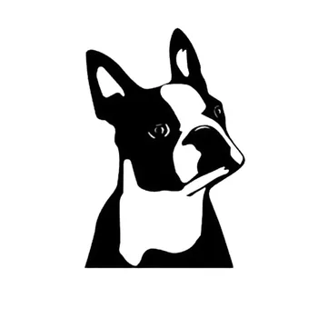 

7.6*11.4CM Cute Boston Terrier Dog Car Window Decorative Stickers Cute Cartoon Vinyl Decal Black/Sliver C6-1558