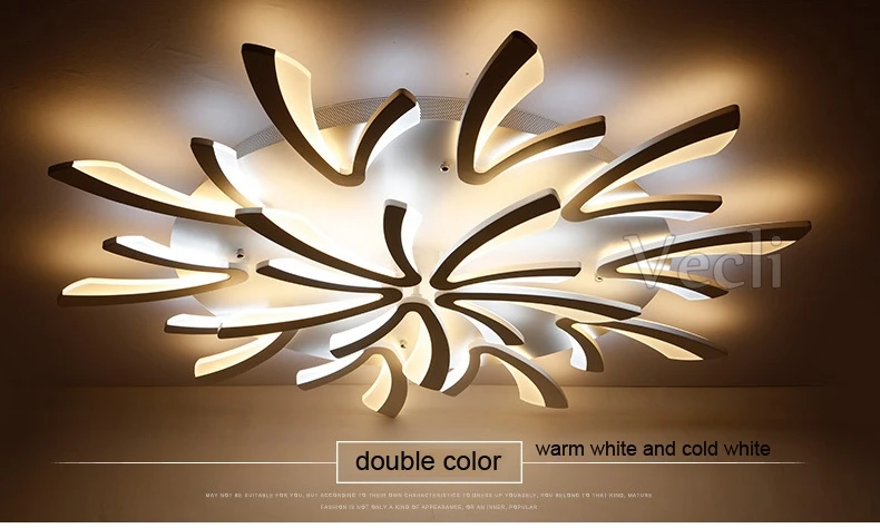 Ceiling lamps (17)