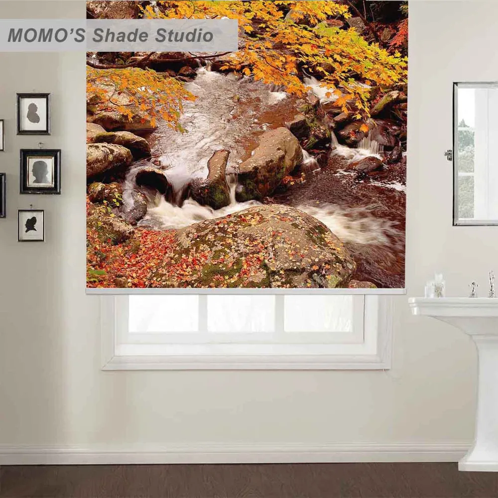 

MOMO Thermal Insulated Blackout Fabric Custom Scenic Window Curtains Roller Shades Blinds,PRB set228