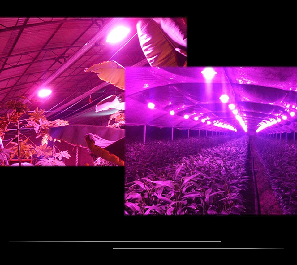 led grow lamp (1)