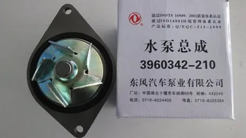 

4891252/3800984/5312296