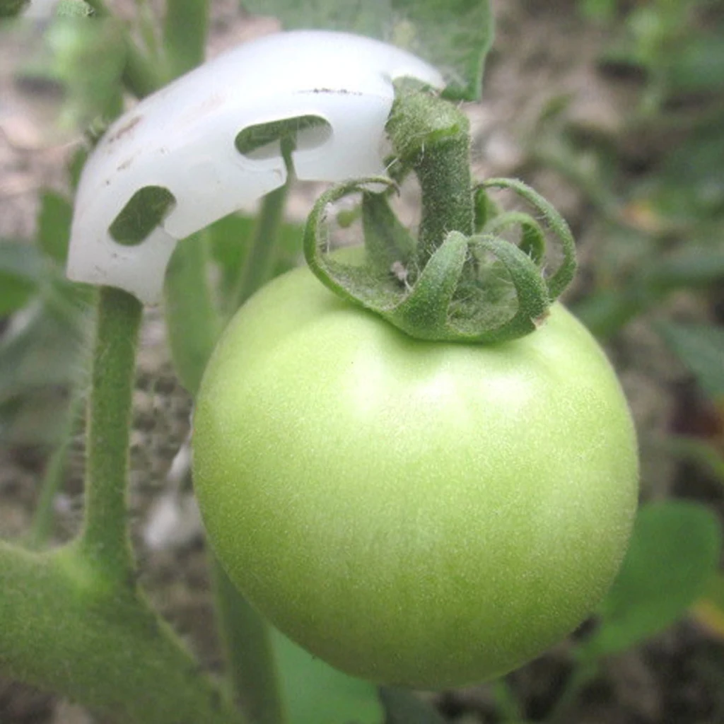 100pcs Tomato Truss Fixing Clip Garden Plant Support Starch Tool