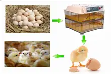 Fast shipping !!! Automatic Digital poultry egg incubator 96 chicken egg hatching machine Turning chicken gooose quail duck egg
