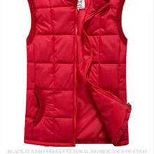 Опт и розница, осень, тонкий жилет с перьями, розовый жилет, добавить цвет, Женская куртка, Модная студенческая куртка, XL-4XL