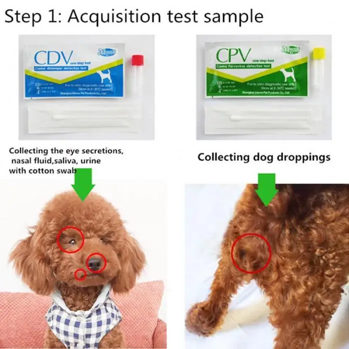 В форме собачки Distemper Virus CDV/CPV домашний носовой тампон для здоровья тест-бумага магазин UYT