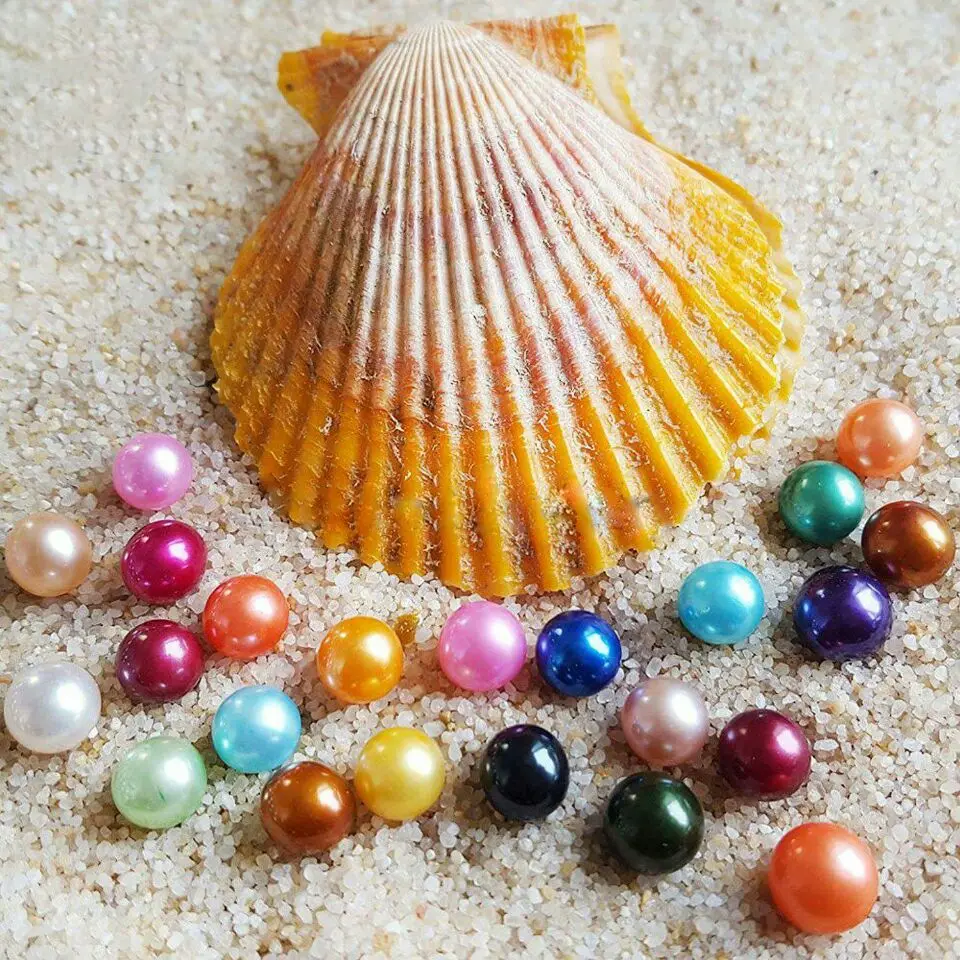 

5 pcs Pretty Red Shell SingleTwins /triplets/ Quads Oyster Red Shell Oyster 2/3/4/5/6/7/8 Pearls inside SO7
