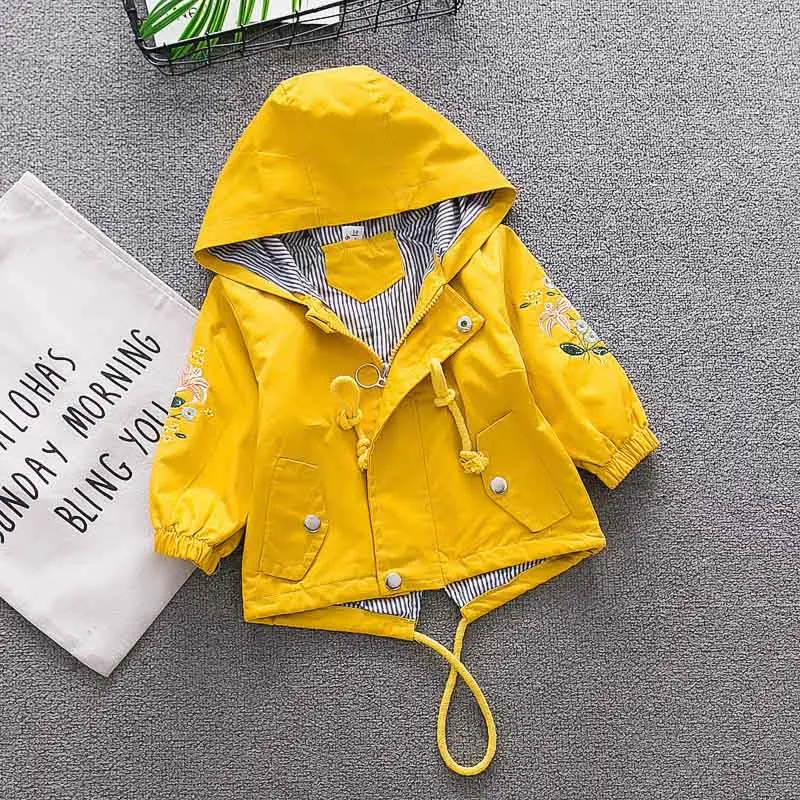 9103412768_346669714