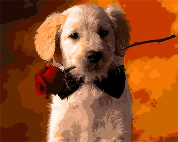 

Frameless The Cute dog Animal DIY Painting By Numbers Kits Coloring Oil Painting On Canvas Drawing Home Artwork Wall Art Picture