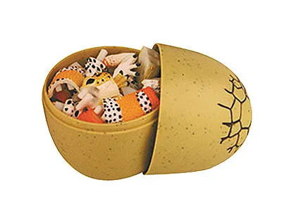 5466_egg