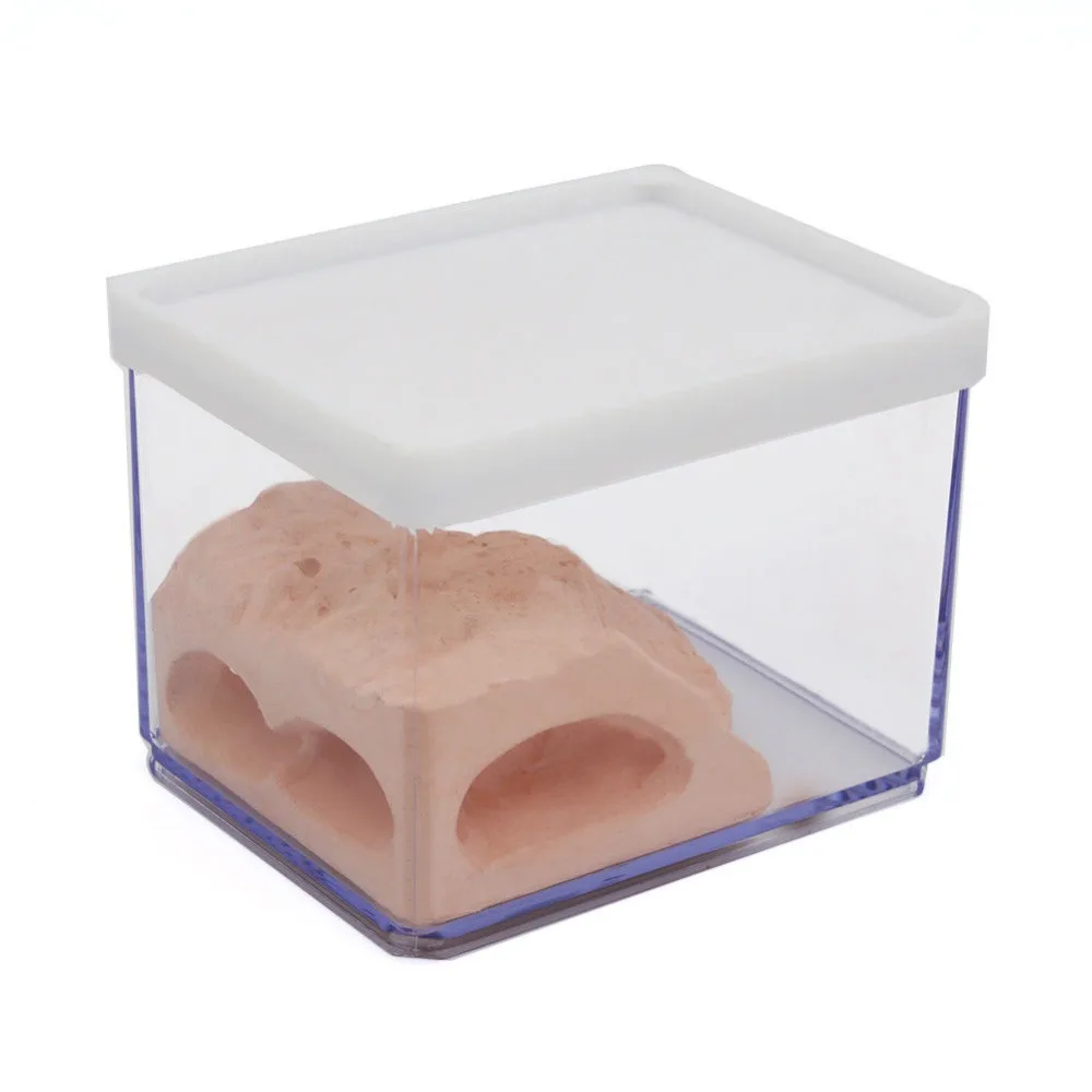 Муравей гнездо корпус муравей фермы коробка Formicarium Дисплей Чехол для маленького