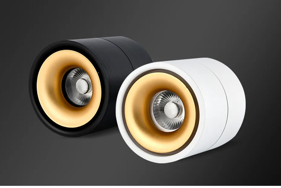 Led Downlights  (13)