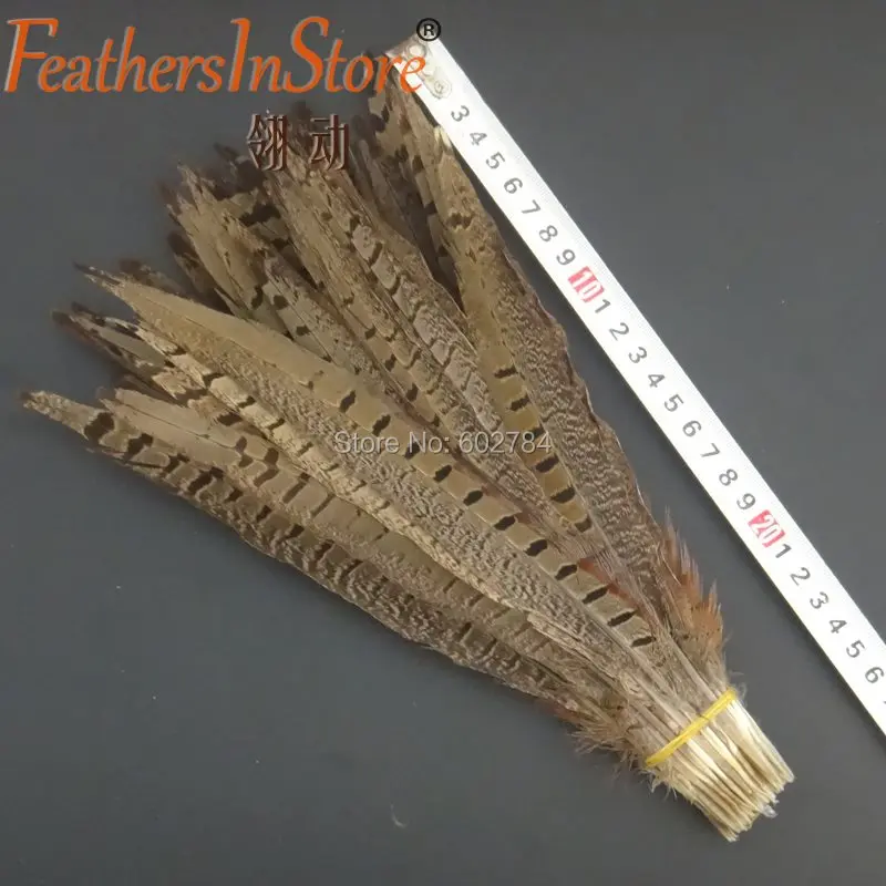 

dyed Pheasant tail Feather 10-12" 25-30cm ringneck plume Fly Tying craft feathers for wedding decoration