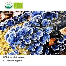 Сертификат USDA и EC органический экстракт гриба облака 20:1 Полисахариды