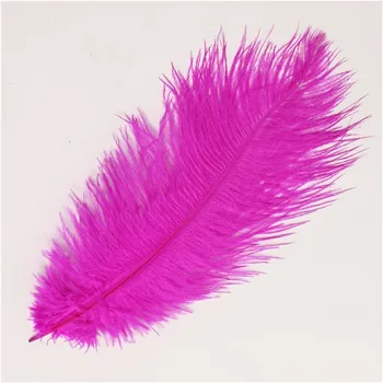Fashion Hot Pink Ostrich Tail Feathers 35-40cm Feather Decoration Plumage Crafts Beautiful Decorative 50pcs/lot Plume Wholesale Fashion Hot Pink Ostrich Tail Feathers 35-40cm Feather Decoration Plumage Crafts Beautiful Decorative 50pcs/lot Plume Wholesale
