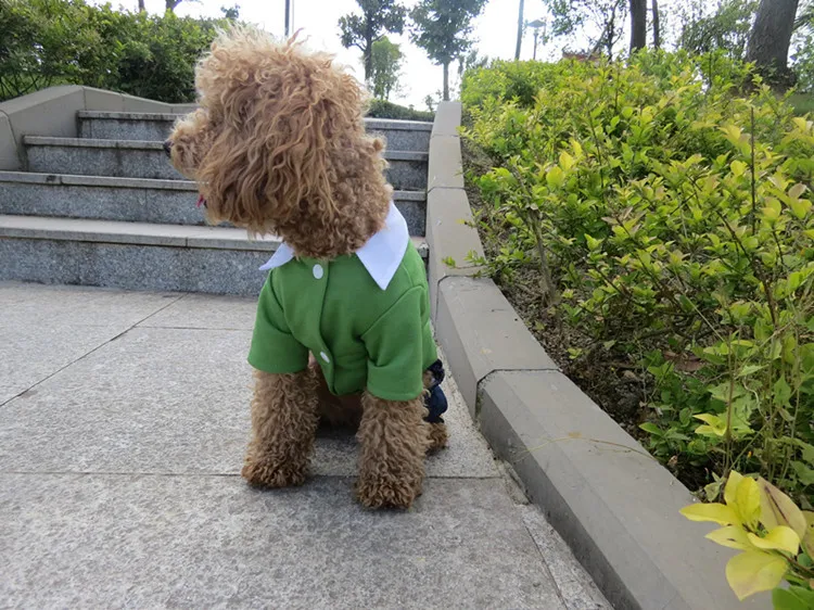 dog clothes (2)