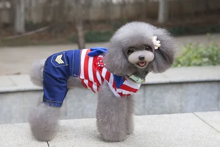 2016_Newest_Spring_Pet_four_legs_clothes_hot_sale_Pet_Sailor_Jumpsuit_Pants_Puppy_dog_Bib_Seaman_clothes_Lovely_111