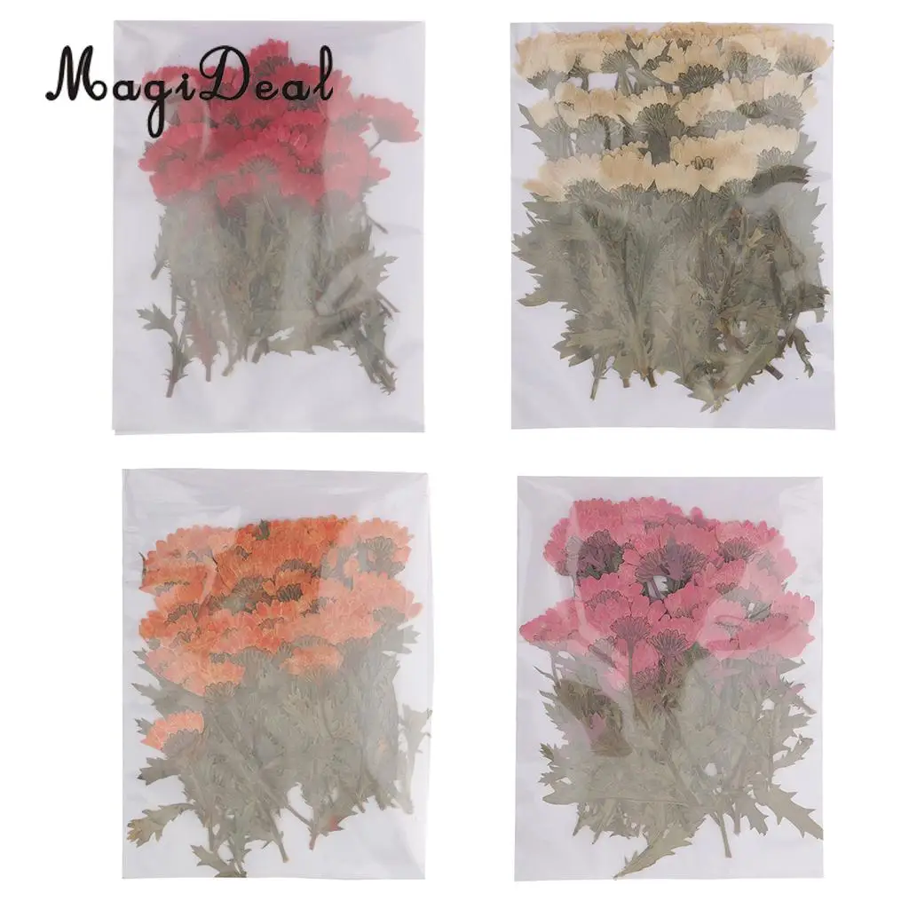 MagiDeal 50pcs Beautiful Pressed Rose Flower Dried Flowers for Art Craft Scrapbooking Card Making House Decoration
